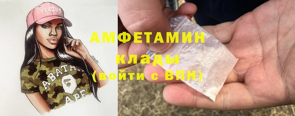 прущие грибы Алексеевка