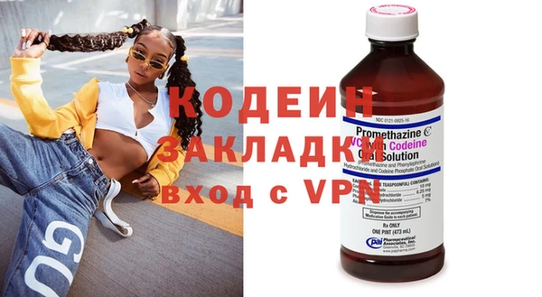 прущие грибы Алексеевка