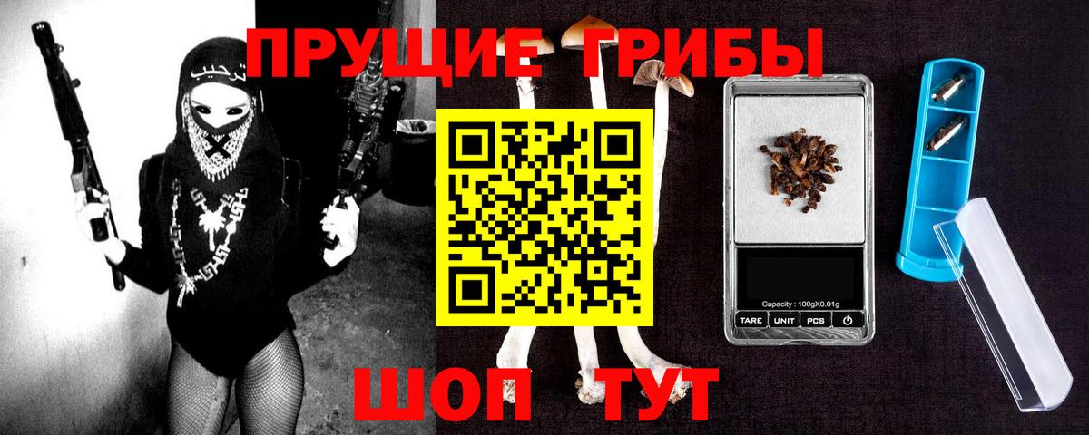 Галлюциногенные грибы Psilocybe Апрелевка